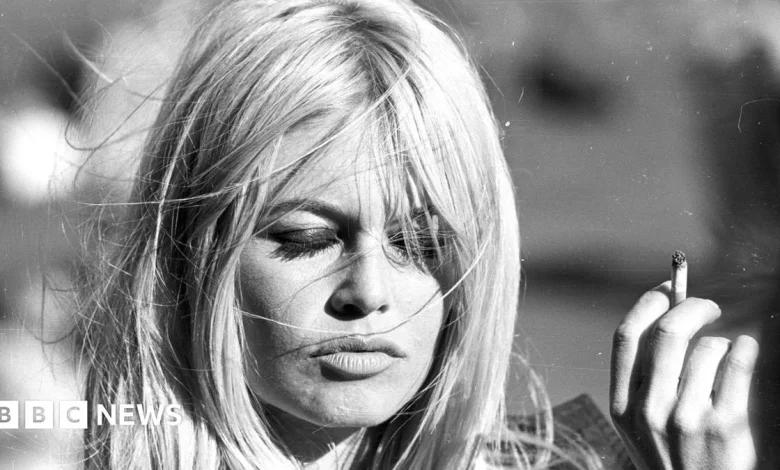 Brigitte Bardot: The life and career of the 1950s screen icon in pictures