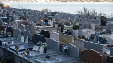 Brigitte Bardot sera inhumée le 7 janvier à Saint-Tropez