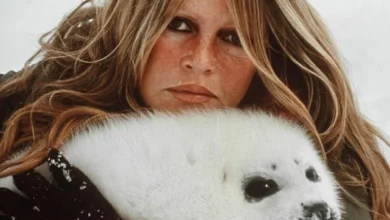 Brigitte Bardot, sublime bête humaine. L’édito de Michel Taube