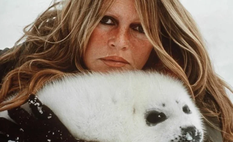 Brigitte Bardot, sublime bête humaine. L’édito de Michel Taube