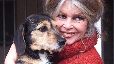 Brigitte Bardot, une seconde vie au service de la cause animale