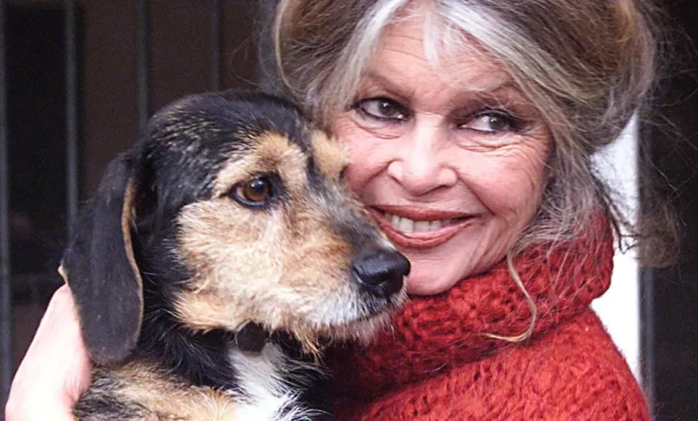 Brigitte Bardot, une seconde vie au service de la cause animale