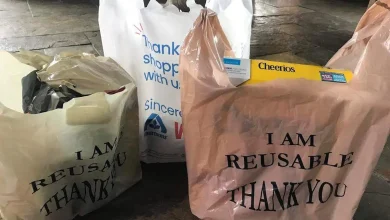 CA plastic ban bag: When will grocery stores require paper?