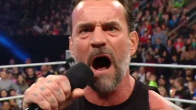 CM Punk Goes Off on Steiner Brothers After Bron Breakker Mentions AJ Lee During 12/15 WWE RAW