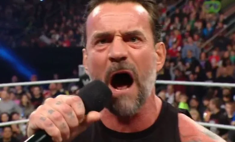 CM Punk Goes Off on Steiner Brothers After Bron Breakker Mentions AJ Lee During 12/15 WWE RAW
