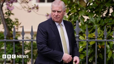 Cabinet Office admits error over release of Andrew files