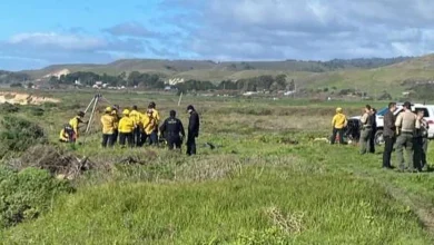 California swimmer believed to be victim of shark is found dead