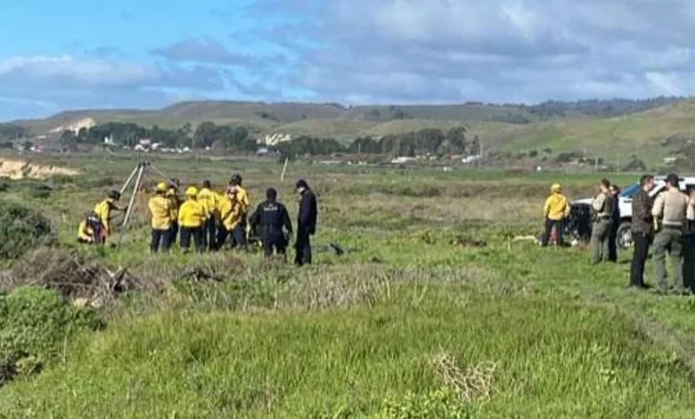 California swimmer believed to be victim of shark is found dead