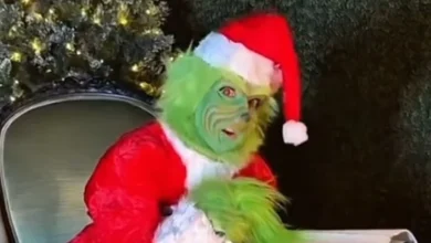 Celine Dion Wears Grinch Costume and Sings 'All by Myself' on Christmas