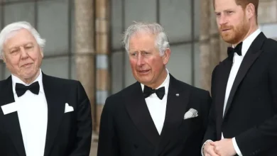 Charles faces 'sadness' as William and Harry remain 'as far apart as ever'