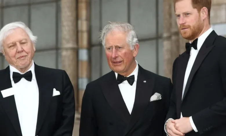 Charles faces 'sadness' as William and Harry remain 'as far apart as ever'