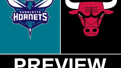 Charlotte Hornets vs Chicago Bulls Preview: Game 25