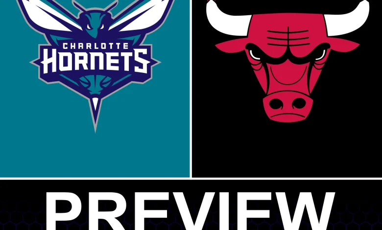 Charlotte Hornets vs Chicago Bulls Preview: Game 25