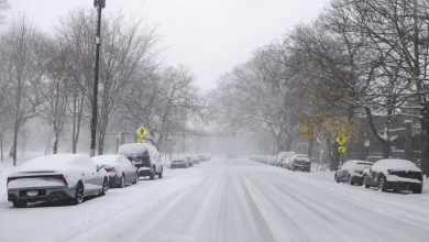Chicago Could See 4 Inches Of Snow Monday And 'Bitter' Cold Through The Week