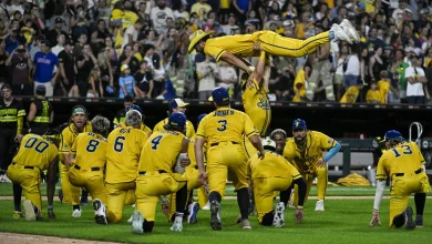 Chicago Getting Its Own Savannah Bananas-Inspired Team