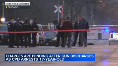 Chicago crime: 17-year-old suspect's weapon fires during struggle with police officers on West 71st Street in West Lawn, CPD says