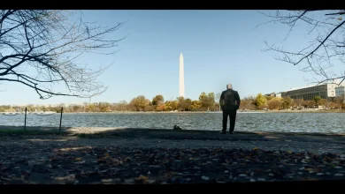 Chicago film experts recommend 10 can’t-miss movies from 2025 that you may have missed the first time around