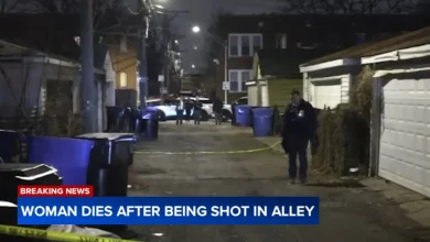 Chicago shooting: 25-year-old woman shot, killed while walking in South Side alley on South Harvard Avenue, police say