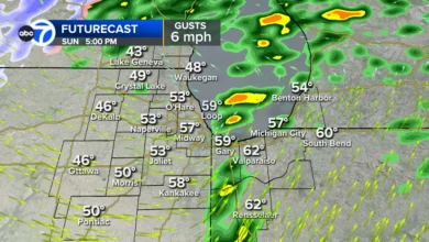 Chicago weather: Dense fog blankets area, thunderstorms possible amid holiday travel rush at O'Hare, Midway ahead of cold blast