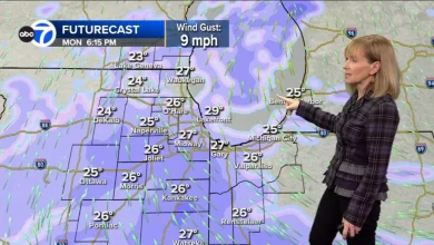 Chicago weather forecast: Saturday was snowiest November day in Chicago's recorded history, next snow chance Monday