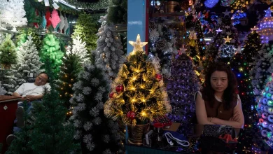 China's trade surplus tops $1 trillion despite tariffs