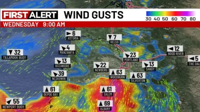 Christmas Eve MAY get cancelled by brief & strong windstorm in I-5 corridor