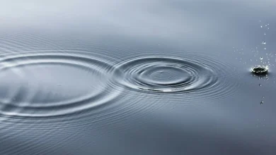 Cloudflare Global Outage Traced to Internal Database Change