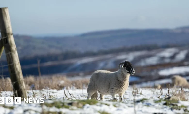Cold weather to ring in New Year as amber health alerts issued
