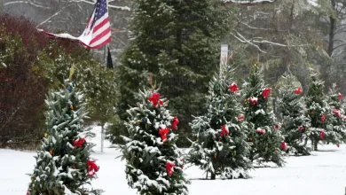Could Georgia get Christmas snow this year? See long-range predictions