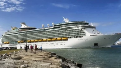 Cruise passenger was served 33 drinks before he died, lawsuit says