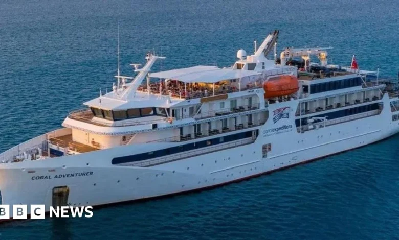 Cruise ship hits reef on first trip since leaving passenger on island