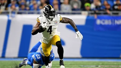 DK Metcalf fan punch video has alternative angle from Steelers