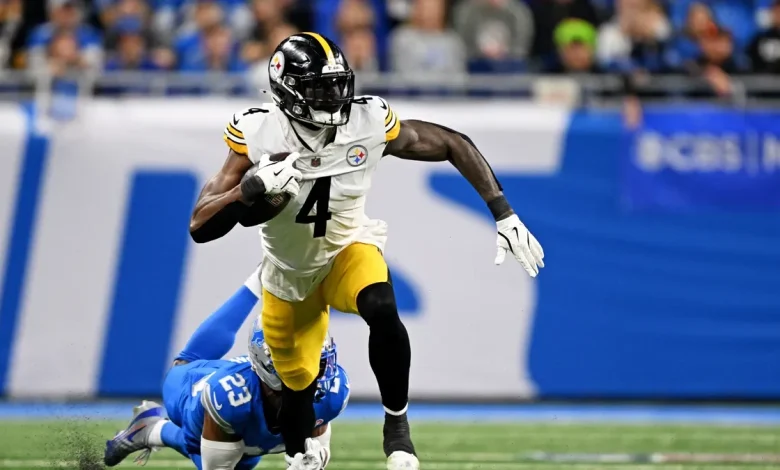 DK Metcalf fan punch video has alternative angle from Steelers