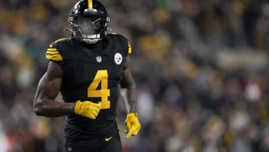 DK Metcalf takes a swing at Lions fan