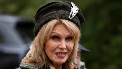 Dame Joanna Lumley warns of 'crisis hidden in plain sight' - with 1.5 million older people set to spend Christmas alone
