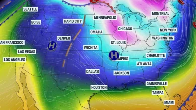 Dangerous arctic cold to sweep across South Carolina