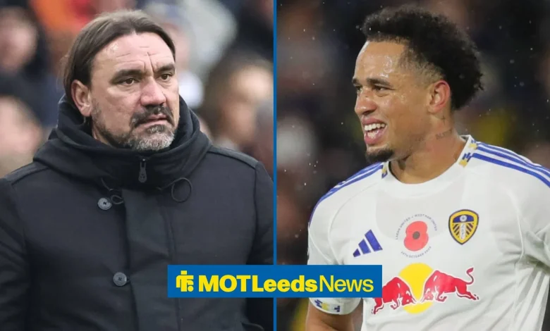 Daniel Farke set to hand Noah Okafor last chance to impress for Leeds United in Sunderland clash