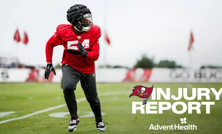 David Did Not Participate, Evans and Otton Limited