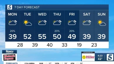 December 8, 2025: Cloudy & Cold