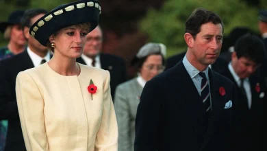 Diana, Princess of Wales, was more 'predatory and skilled' than Prince Charles in media war