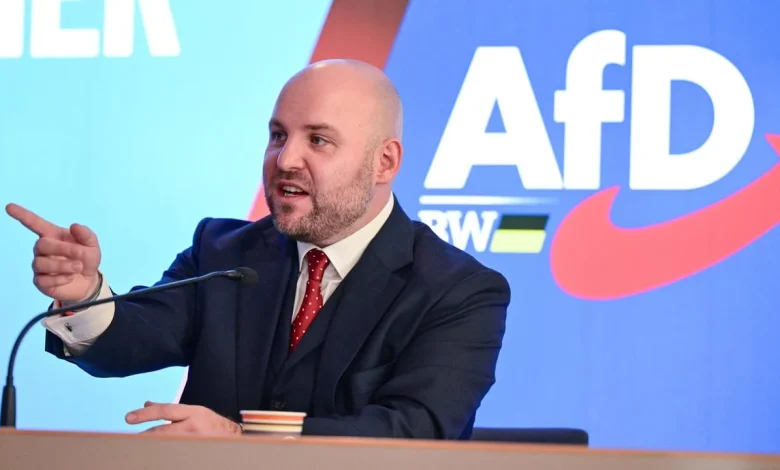 Die AfD sucht Anschluss in den USA