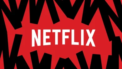 Director found guilty of scamming Netflix out of $11 million