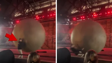 Disney World Employee Gets Clobbered by Giant Boulder on Video