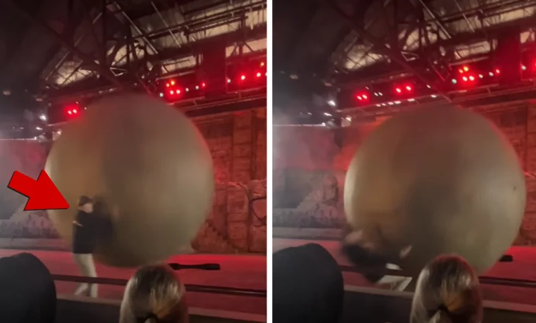 Disney World Employee Gets Clobbered by Giant Boulder on Video