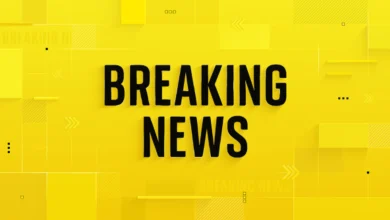 Doctors in England to go on strike in run-up to Christmas