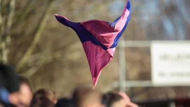 Dulwich Hamlet - 1, Lewes F.C. - 4: The Hamlet crumbles on Champion Hill