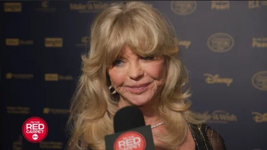 EXCLUSIVE: Goldie Hawn reflects on joy, children and "The Power of a Wish" during Make-A-Wish Gala interview
