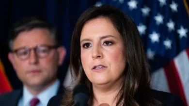 Elise Stefanik accuses Mike Johnson of "getting rolled" by Democrats and lying about defense bill provision