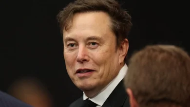 Elon Musk Gives Bizarre Explanation for His Failed DOGE Mission