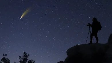 "Entre 120 et 140 météores par heure" : la pluie d'étoiles filantes la plus intense de l'année aura lieu un samedi soir de décembre